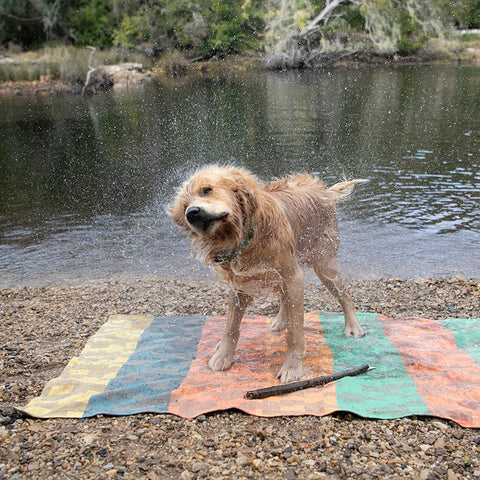 A dog shaking off water on a dog blanket