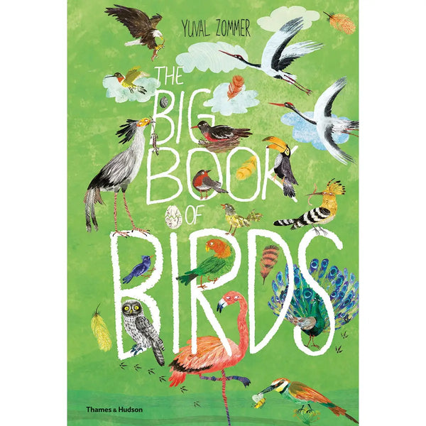 Book cover of 'The Big Book of Birds' with colorful illustrations of various birds on a green background.