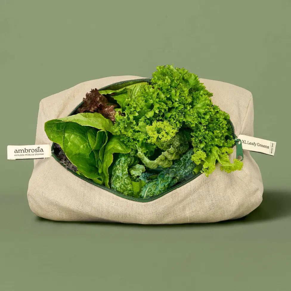 Green leafs in a linen fabric bag, filled with fresh green lettuce and kale, on a solid sage green background. Two tags are visible on the sides reading 'ambrosia' and 'XL.