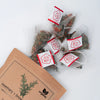 Tea bags with rosemary and brown label on a white background