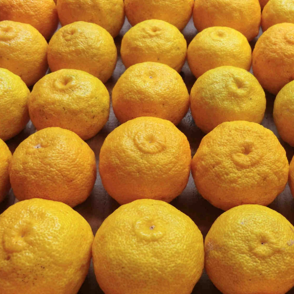 Close-up of a pile of yellow yuzu