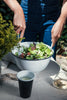 Person preparing a salad in a large white bowl with a cup of dressing on a table.