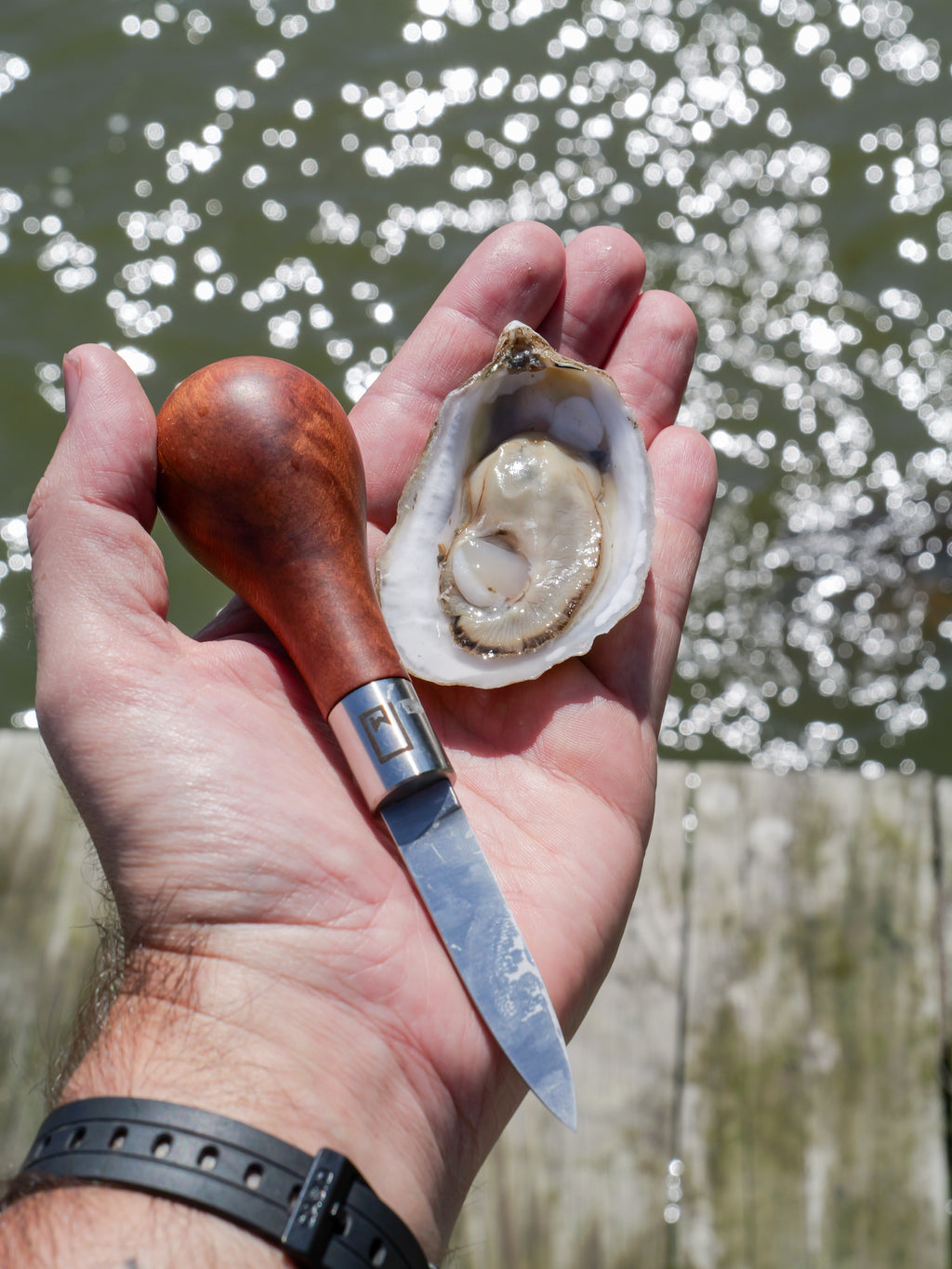 Hand holding an oyster with a knife against a water background