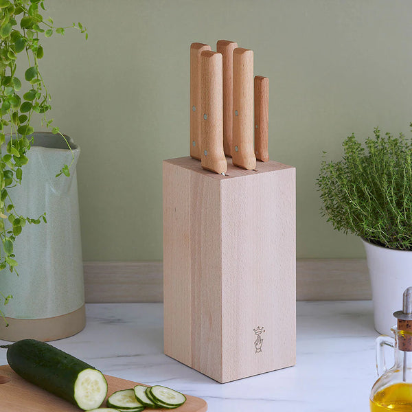 Set of knives in a wooden block on a kitchen counter with plants in the background