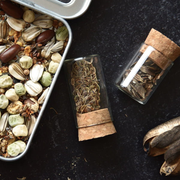 Spices and herbs in small containers on a dark surface