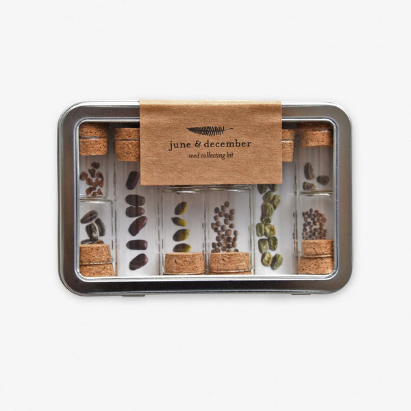 Seed collecting kit with wooden lid and transparent containers on a white background