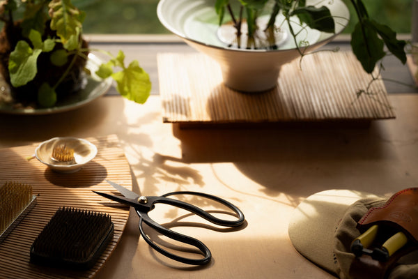 Scissors on a wooden surface with plants and other items in the background
