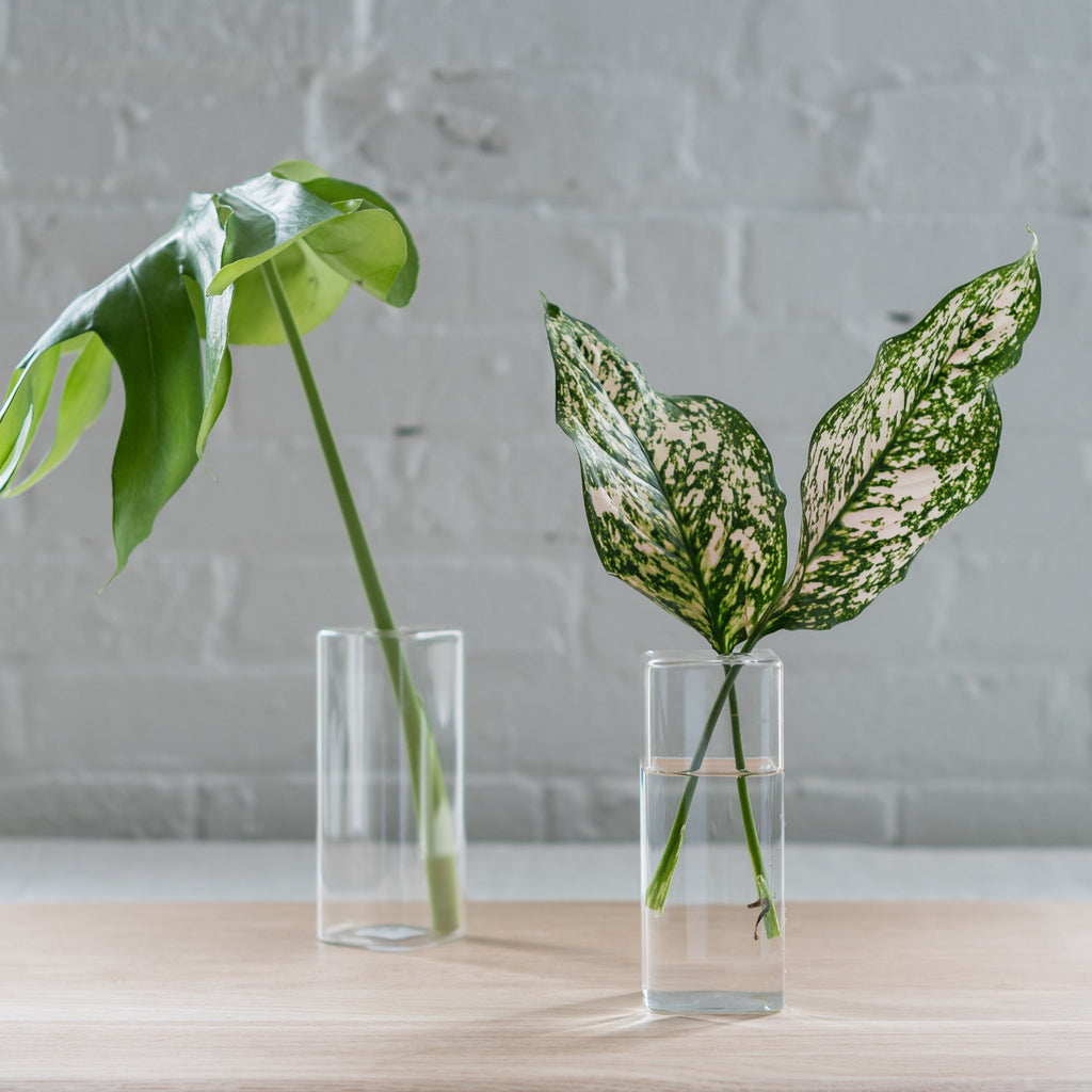 unique glass vase - flower vase - glass stem vase - glass vase 